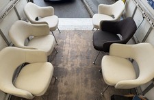 Set of 5 white and 1 brown